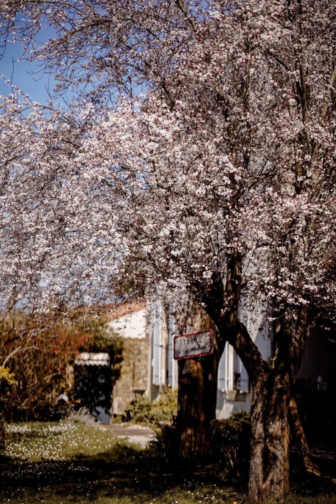 Chez Guilem Bed & Breakfast Saint-Maixent-l'Ecole Exterior photo
